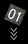 菇1