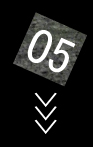 菇5